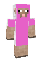 Скин по нику enderdrogan