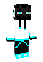 Скин по нику enderlord17