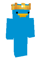 Скин по нику enuddawille