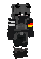 Скин по нику epiccgamerr