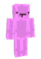 Скин по нику error444