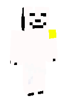 Скин по нику everty