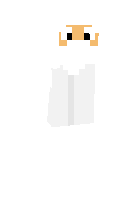 Скин по нику evilblocks
