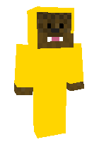 Скин по нику finished