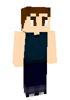 Скин по нику finnwolfhard