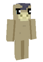 Скин по нику fisto
