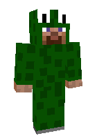 Скин по нику fitzbombz