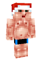 Скин по нику flady