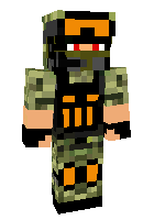 Скин по нику flyrus