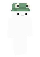 Скин по нику frogwithhat