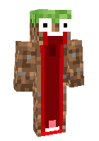 Скин по нику frostminer