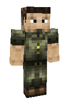 Скин по нику frtg