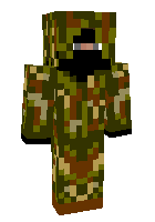 Скин по нику gadzooks28