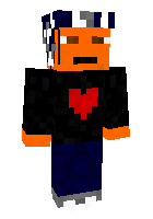 Скин по нику gamer21