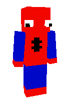 Скин по нику gamer277