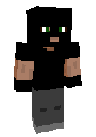 Скин по нику gamer6