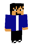 Скин по нику gamesense
