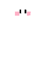 Скин по нику geooko