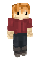 Скин по нику ginger_99_ninja