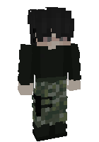 Скин по нику gusqls08
