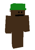 Скин по нику h0rnet