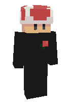 Скин по нику hamsterio