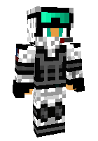 Скин по нику hectichopper
