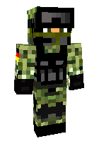 Скин по нику highscorepeter