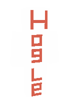 Скин по нику hogle