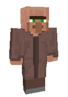 Скин по нику homelessvillager
