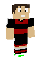Скин по нику ibrahimovic8