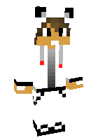 Скин по нику ikonikk