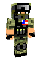 Скин по нику its_cool