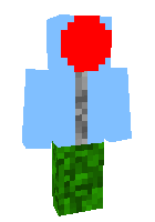 Скин по нику joel015