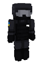 Скин по нику jotom