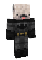 Скин по нику joyster
