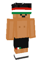 Скин по нику karl_craftt