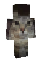 Скин по нику karton1337