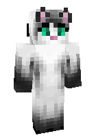 Скин по нику kitty123