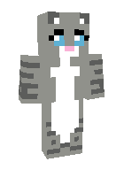 Скин по нику kitty6
