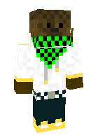 Скин по нику kung_fu_panda