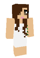 Скин по нику lady_pixel