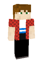 Скин по нику legomark