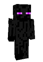 Скин по нику lisa_27