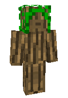 Скин по нику looknius