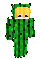 Скин по нику lucky_cactus