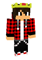 Скин по нику markogamer100