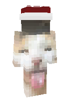 Скин по нику mendan