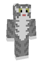 Скин по нику meow__