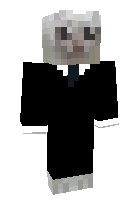 Скин по нику micla